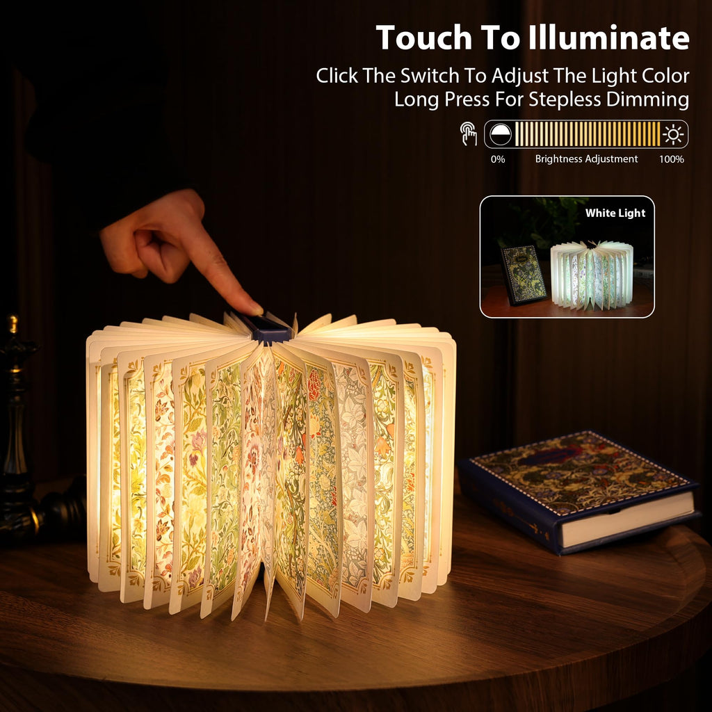 Ba suns Book Lamp Decor, Gift for Book Lovers, Rechargeable Book Light | Reading Light, Portable Paper Lamp with Touch Control, Decor for Home Library Bookshelf, Gift for Women Readers (Blue)