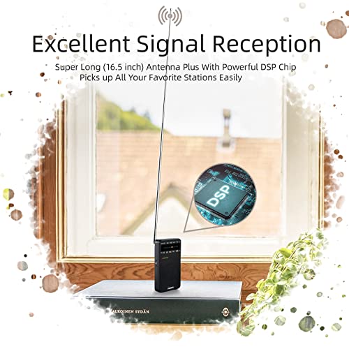 PRUNUS J-166 Portable Radio AM FM, Battery Operated Radio | Tuning Light, Back Clip, Layard, Excellent Reception, AM FM Radios Portable, Transistor Radios