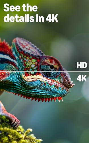 Amazon Ember 55" 4-Series with Fire TV (newest model), 4K Ultra HD smart TV with Alexa Remote, HDR10+, fast processor, Dolby Audio, Ambient Experience, free and live TV, find shows faster with Alexa+