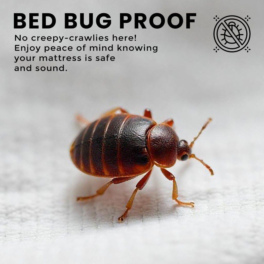 Waterproof Zippered Mattress Protector Queen Size, 12" Deep Pocket