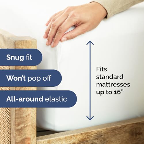 Queen Fitted Sheet - Single Fitted Sheet Only - 8-16" Deep Pockets - White | Bottom Fitted Sheet Only w/ 8-16 Inch Deep Pockets, Ultra-Soft, Breathable & Wrinkle Free, Easy-Care, Fade & Shrink Resistant