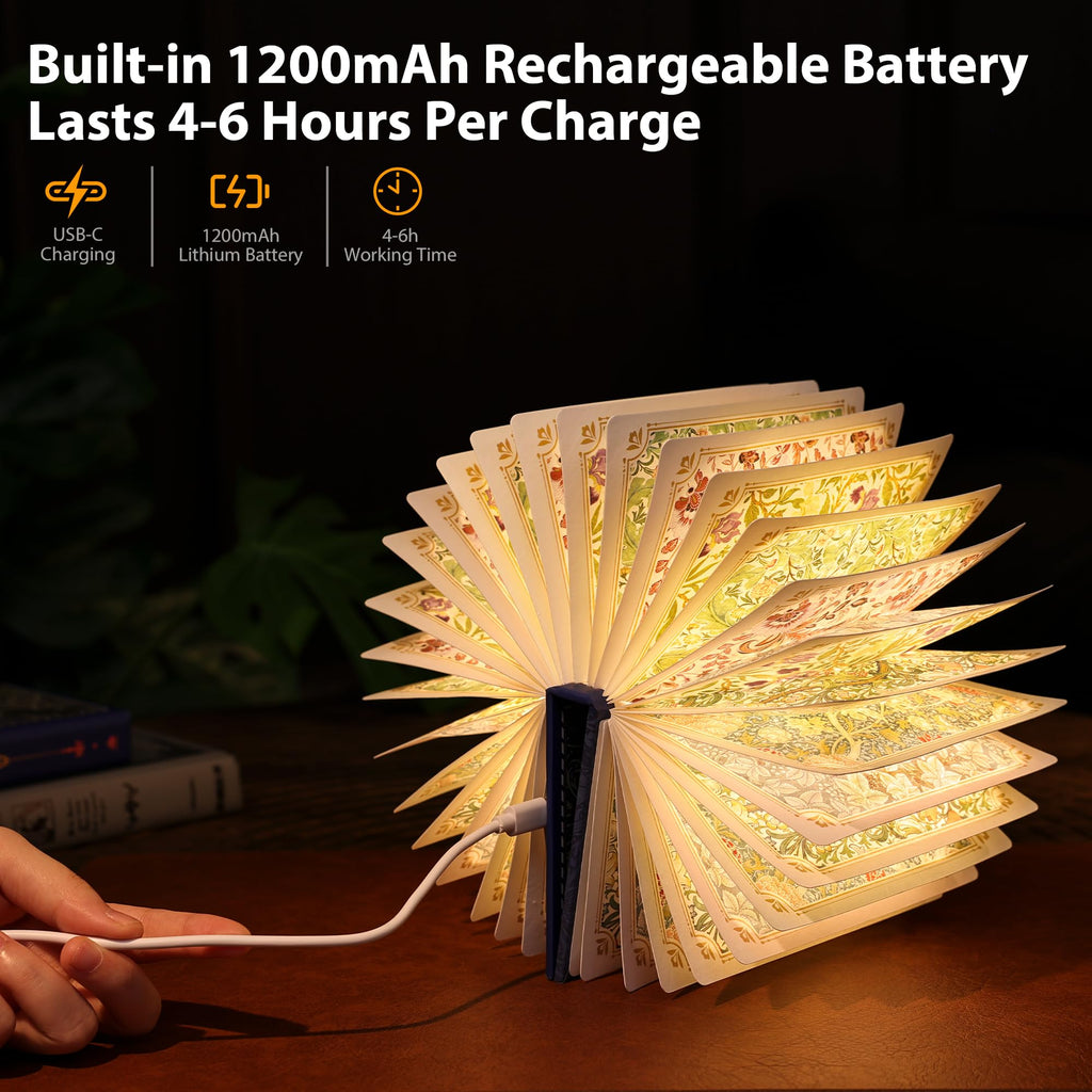 Ba suns Book Lamp Decor, Gift for Book Lovers, Rechargeable Book Light | Reading Light, Portable Paper Lamp with Touch Control, Decor for Home Library Bookshelf, Gift for Women Readers (Blue)