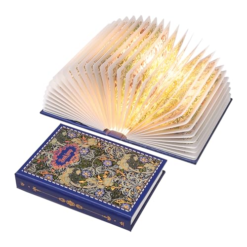 Ba suns Book Lamp Decor, Gift for Book Lovers, Rechargeable Book Light | Reading Light, Portable Paper Lamp with Touch Control, Decor for Home Library Bookshelf, Gift for Women Readers (Blue)